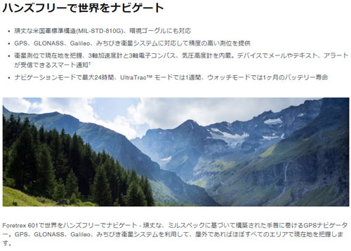 Foretrex601(日本版) 購入アウトレット GARMIN サバゲー 登山 自衛隊 GPS 601 FORETREX その他